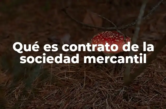 Qué es Contrato de la Sociedad Mercantil