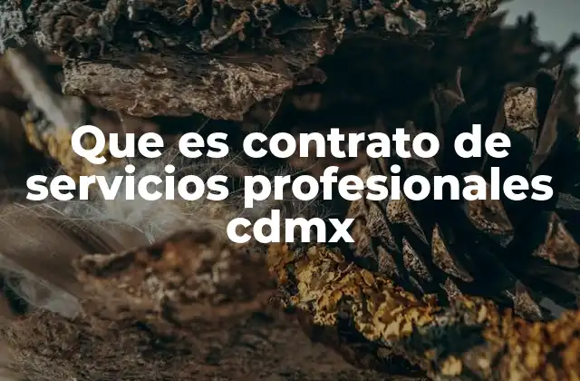 La importancia de un contrato claro para profesionistas en la CDMX