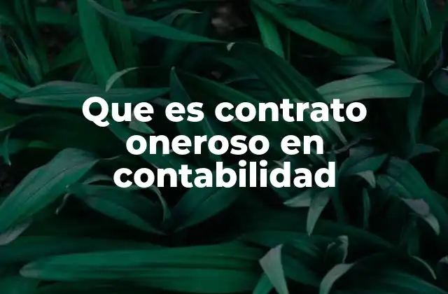 Que es Contrato Oneroso en Contabilidad