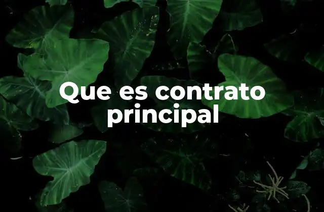 Que es Contrato Principal