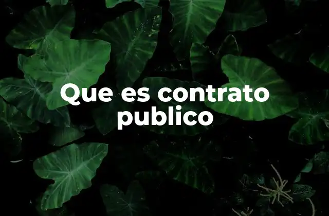 Que es Contrato Publico