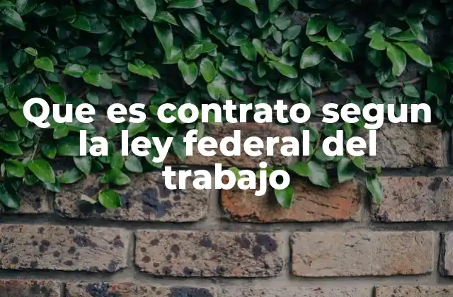Que es Contrato Segun la Ley Federal Del Trabajo
