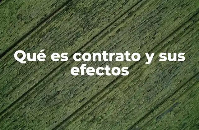 Qué es Contrato y Sus Efectos