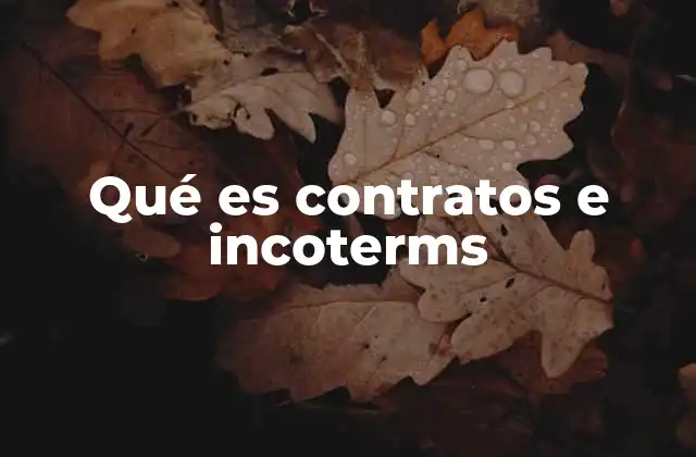 Qué es Contratos e Incoterms