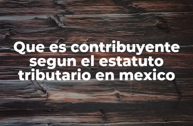 Que es Contribuyente Segun el Estatuto Tributario en Mexico