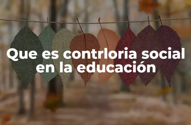 Que es Contrloria Social en la Educación 2 La participación ciudadana como herramienta de supervisión educativa
