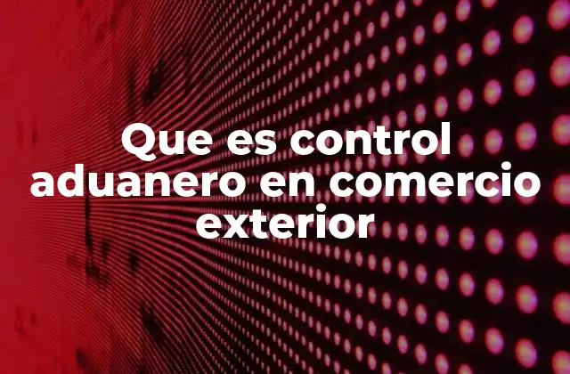 Que es Control Aduanero en Comercio Exterior
