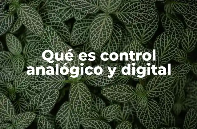 Diferencias fundamentales entre ambos tipos de control