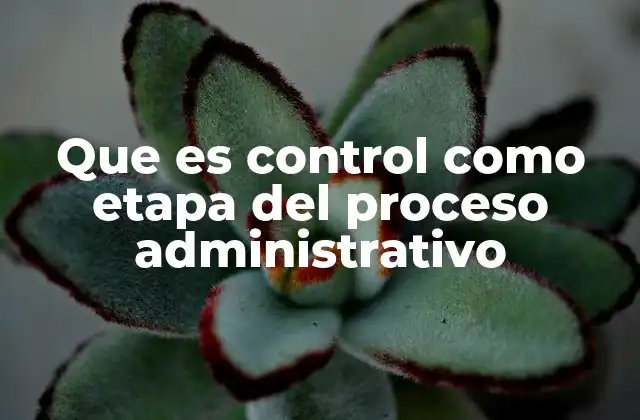 Que es Control como Etapa Del Proceso Administrativo