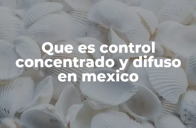 Que es Control Concentrado y Difuso en Mexico