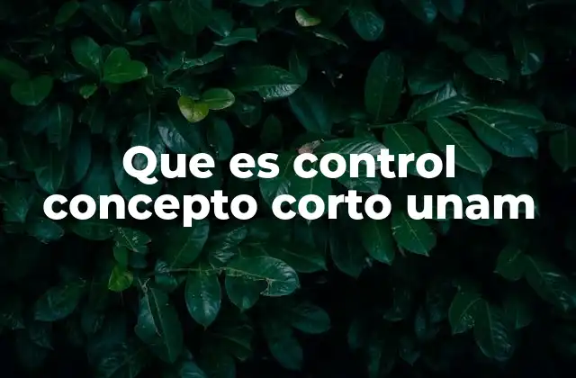 Que es Control Concepto Corto Unam 2 El papel del control en la gestión universitaria