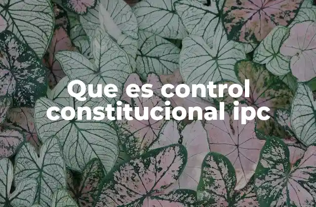Que es Control Constitucional Ipc