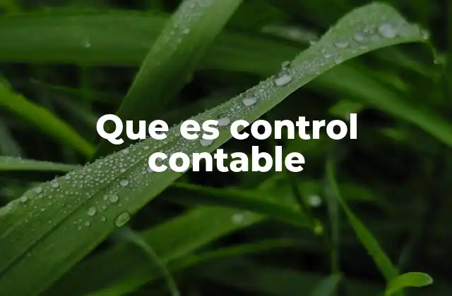Que es Control Contable