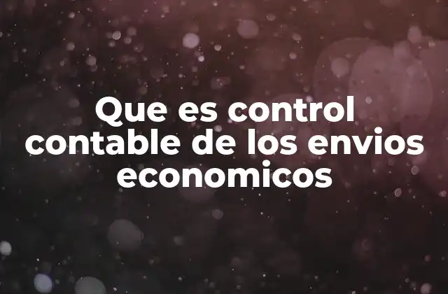 Que es Control Contable de los Envios Economicos