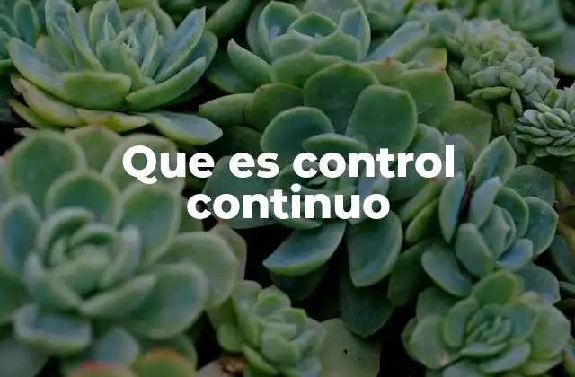La importancia del control continuo en la gestión empresarial