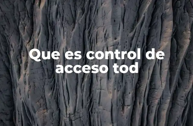 Que es Control de Acceso Tod