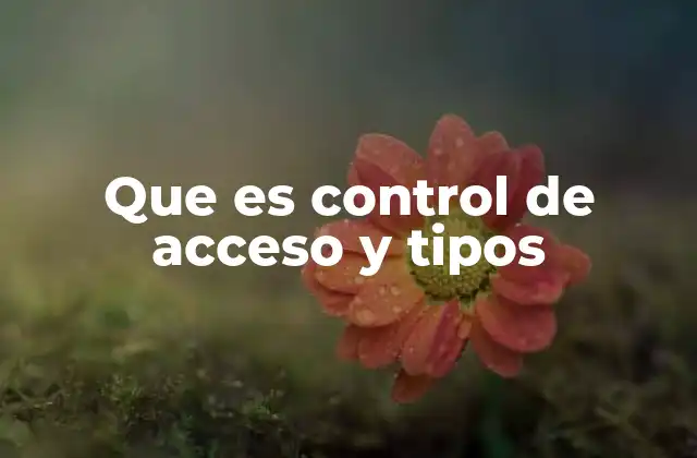 Cómo funciona el control de acceso en diferentes contextos