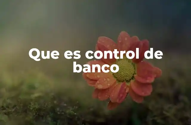 Que es Control de Banco