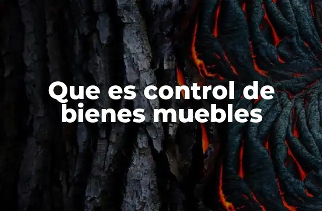 Que es Control de Bienes Muebles
