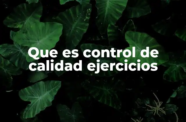 Que es Control de Calidad Ejercicios