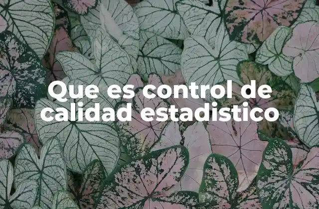 Que es Control de Calidad Estadistico
