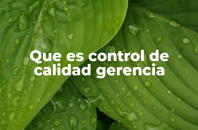 Que es Control de Calidad Gerencia