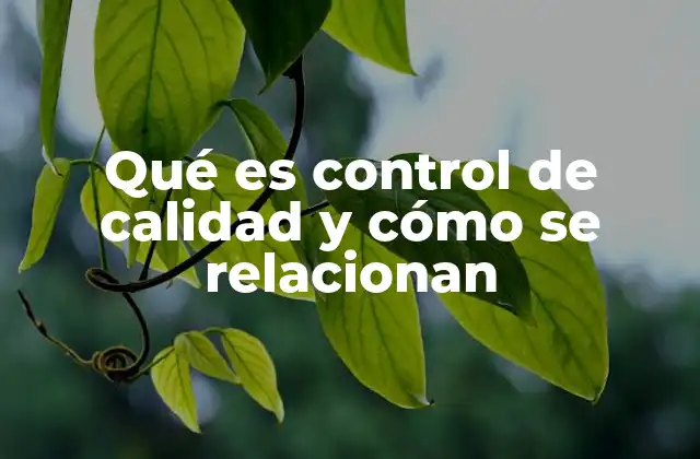 La importancia del control de calidad en la producción y distribución de bienes