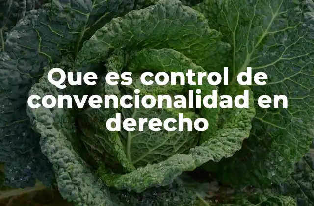 Que es Control de Convencionalidad en Derecho