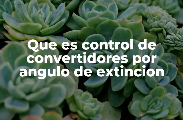 Que es Control de Convertidores por Angulo de Extincion