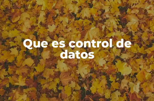 Que es Control de Datos