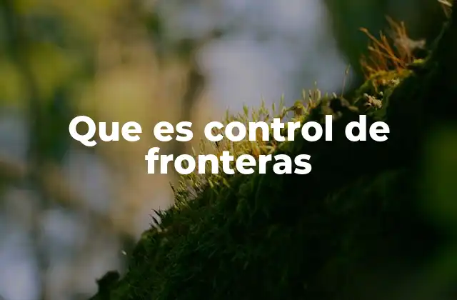 Que es Control de Fronteras