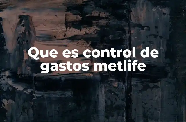 Que es Control de Gastos Metlife