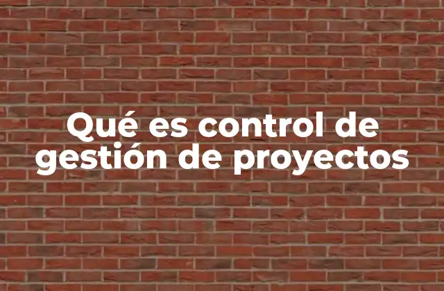 Qué es Control de Gestión de Proyectos
