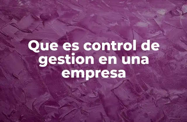 Que es Control de Gestion en una Empresa
