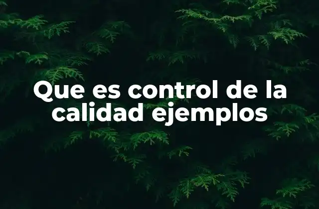 Que es Control de la Calidad Ejemplos