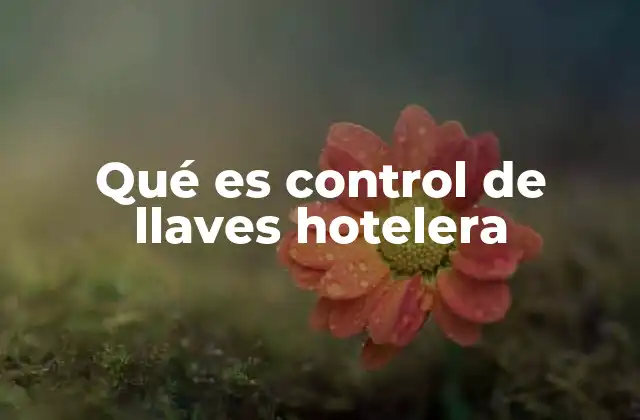 Qué es Control de Llaves Hotelera