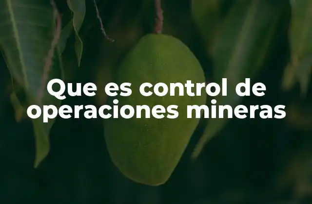 Que es Control de Operaciones Mineras