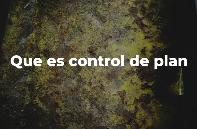 Que es Control de Plan