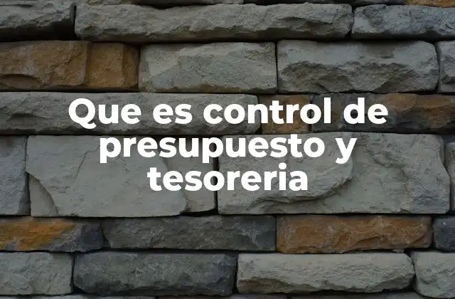 Que es Control de Presupuesto y Tesoreria