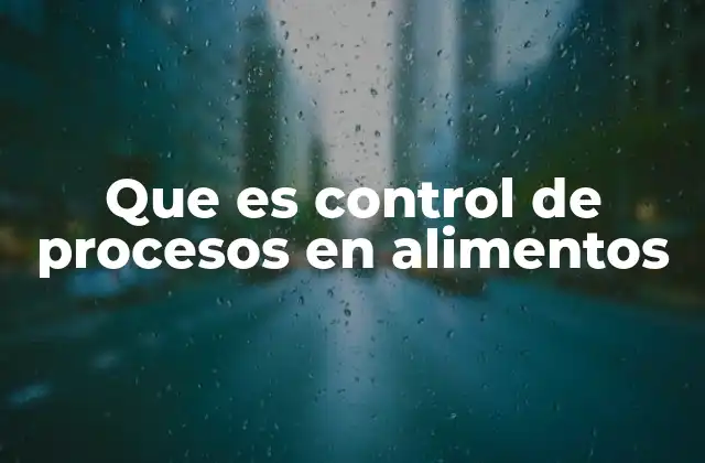 Que es Control de Procesos en Alimentos