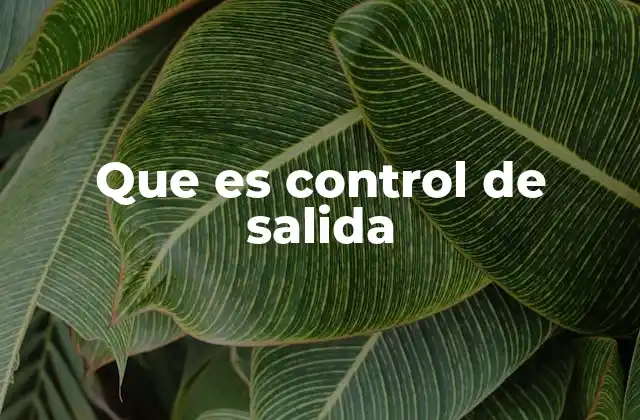 Que es Control de Salida