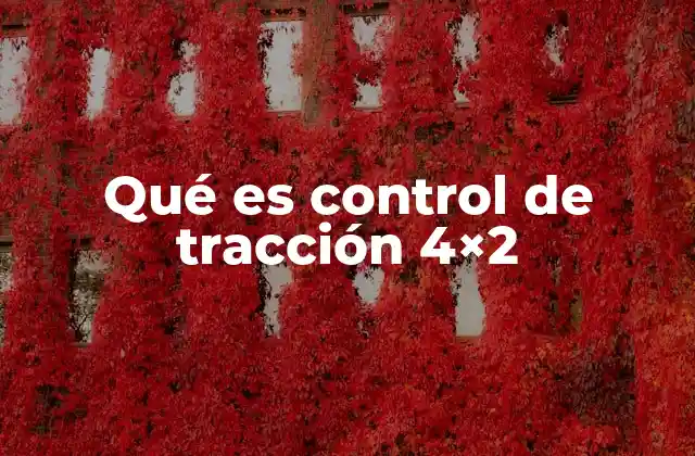 La importancia del control de tracción en vehículos de tracción a dos ruedas