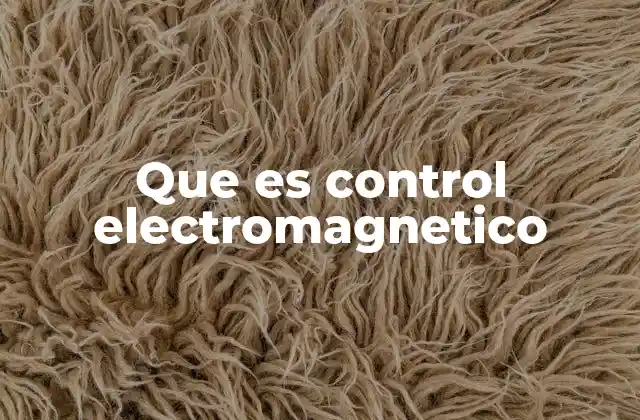 Que es Control Electromagnetico