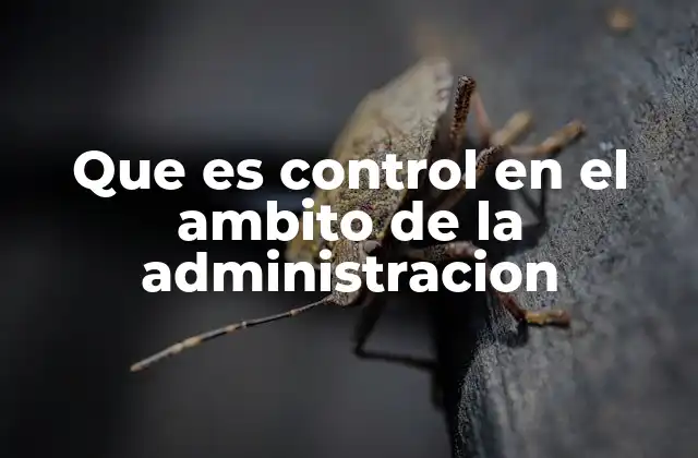 Que es Control en el Ambito de la Administracion