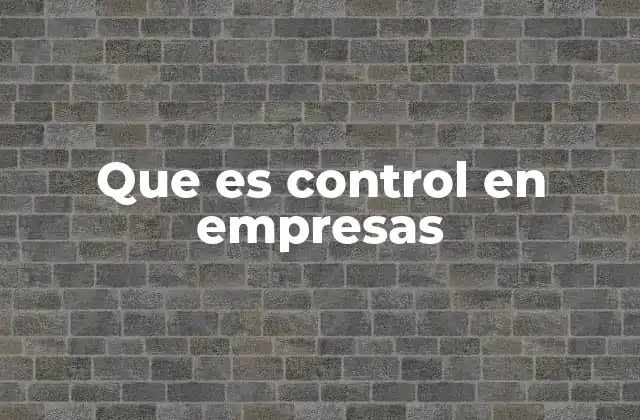 Que es Control en Empresas