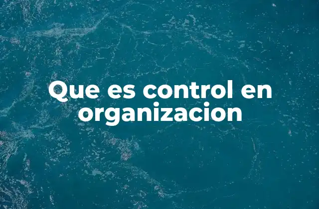 Que es Control en Organizacion