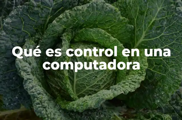 Qué es Control en una Computadora