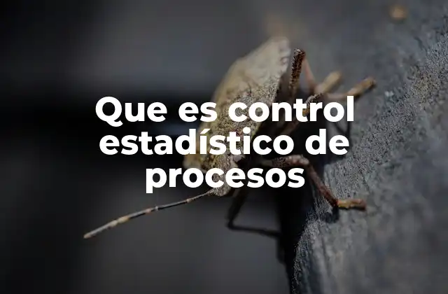 Que es Control Estadístico de Procesos