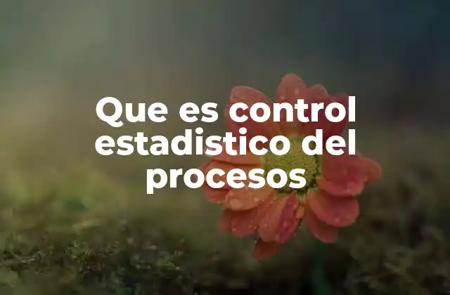 Que es Control Estadistico Del Procesos