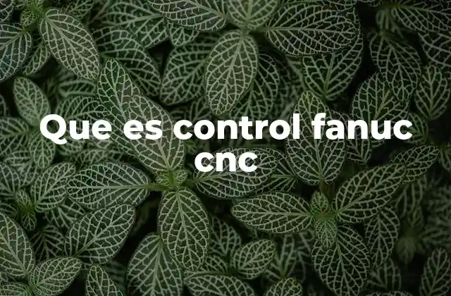 Que es Control Fanuc Cnc